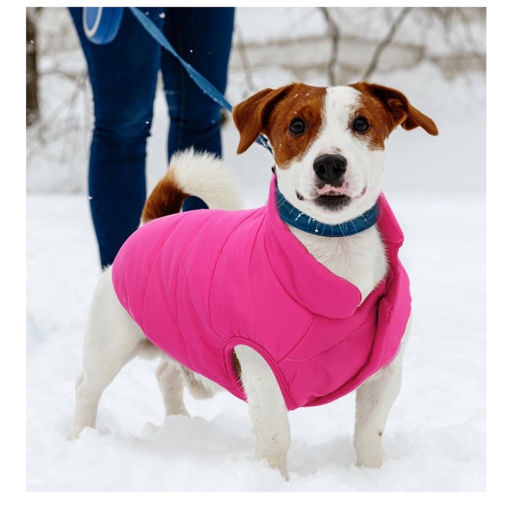 New waterproof jacket/vest for dogs. Pink size Large